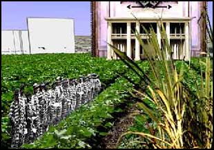 artjail-new plantation cafe
